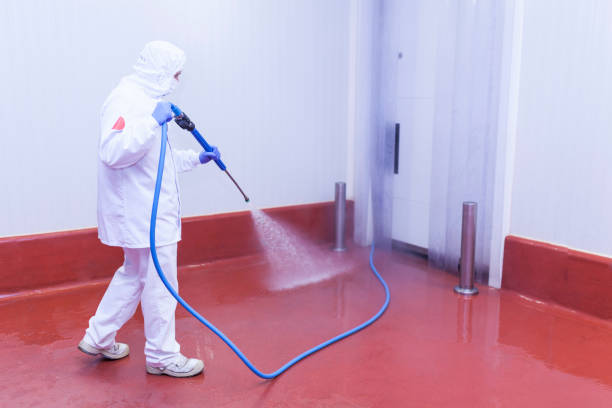 Best Rust Removal  in Chenoweth, OR